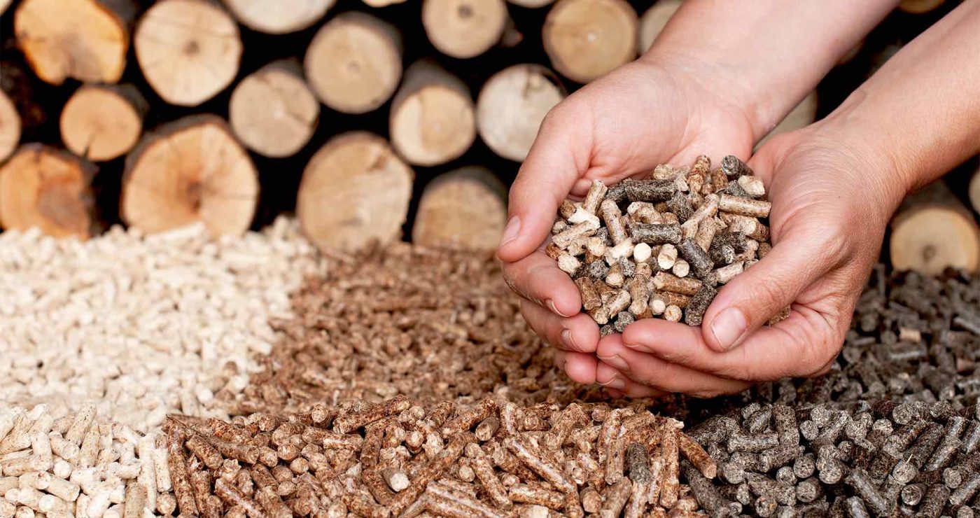 wood pellets,pellet wood pellets,cat litter wood pellets,wood pellet cat litter,wood pellet cat litter box,wood pellet fuel,wood pellets for kitty litter,pellets in wood stove,wood pellet,wood pellet heating stoves,wood pellet pizza oven,wood pellet stove, wood pellets cat litter,wood pellets for pizza oven,cat wood pellet litter,wood fuel pellets,wood pellet burners,wood pellet litter,wood pellets in wood stove,biomass wood pellets,ooni wood pellets,pizza oven wood pellets,wood pellets for traeger,ninja wood pellets,wood pellet cat litter 30l,wood pellets horse bedding,wood stove pellet stove,30l wood pellet cat litter,cat litter wood pellets 30l,equine wood pellet bedding,wood and pellet stoves,wood cat litter pellets, wood pellet boiler, wood pellet horse bedding, wood pellets pizza oven, wood pellet burner, wood pellet stoves, wood pellets for horse bedding