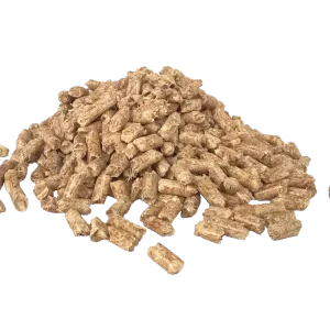 wood pellets,pellet wood pellets,cat litter wood pellets,wood pellet cat litter,wood pellet cat litter box,wood pellet fuel,wood pellets for kitty litter,pellets in wood stove,wood pellet,wood pellet heating stoves,wood pellet pizza oven,wood pellet stove, wood pellets cat litter,wood pellets for pizza oven,cat wood pellet litter,wood fuel pellets,wood pellet burners,wood pellet litter,wood pellets in wood stove,biomass wood pellets,ooni wood pellets,pizza oven wood pellets,wood pellets for traeger,ninja wood pellets,wood pellet cat litter 30l,wood pellets horse bedding,wood stove pellet stove,30l wood pellet cat litter,cat litter wood pellets 30l,equine wood pellet bedding,wood and pellet stoves,wood cat litter pellets, wood pellet boiler, wood pellet horse bedding, wood pellets pizza oven, wood pellet burner, wood pellet stoves, wood pellets for horse bedding