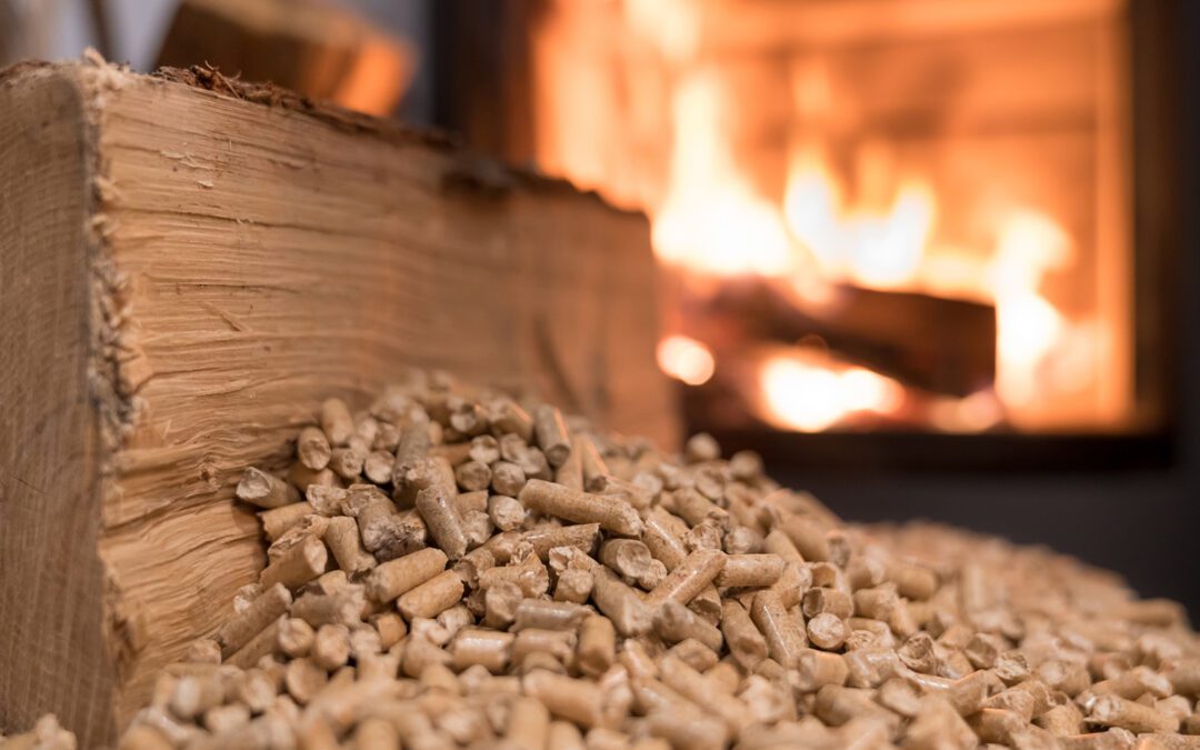 wood pellets,pellet wood pellets,cat litter wood pellets,wood pellet cat litter,wood pellet cat litter box,wood pellet fuel,wood pellets for kitty litter,pellets in wood stove,wood pellet,wood pellet heating stoves,wood pellet pizza oven,wood pellet stove, wood pellets cat litter,wood pellets for pizza oven,cat wood pellet litter,wood fuel pellets,wood pellet burners,wood pellet litter,wood pellets in wood stove,biomass wood pellets,ooni wood pellets,pizza oven wood pellets,wood pellets for traeger,ninja wood pellets,wood pellet cat litter 30l,wood pellets horse bedding,wood stove pellet stove,30l wood pellet cat litter,cat litter wood pellets 30l,equine wood pellet bedding,wood and pellet stoves,wood cat litter pellets, wood pellet boiler, wood pellet horse bedding, wood pellets pizza oven, wood pellet burner, wood pellet stoves, wood pellets for horse bedding